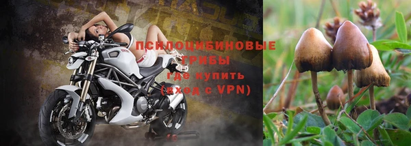 мяу мяу мука Балабаново