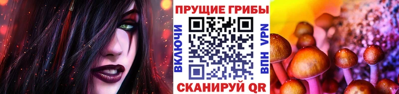 Псилоцибиновые грибы ЛСД  Купить  Среднеуральск 